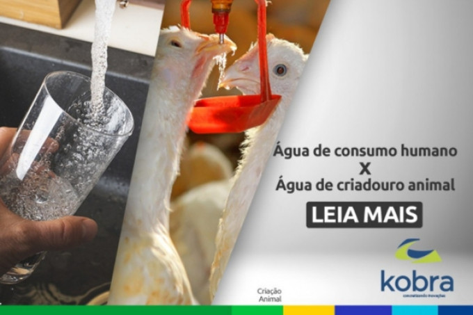 Consumo humano não garante qualidade da água para criação animal
