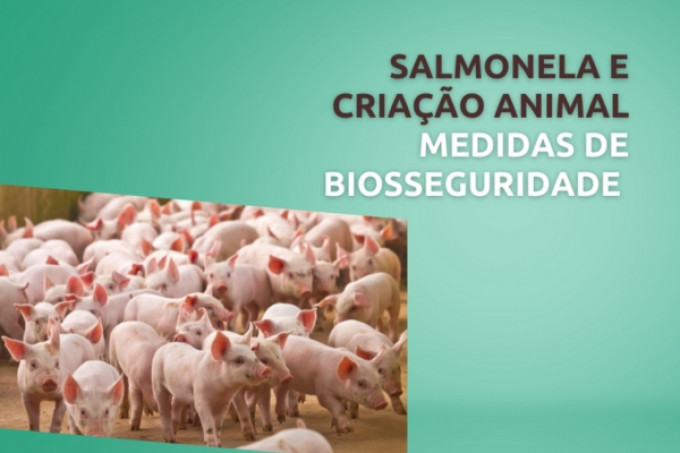 Salmonela e Criação Animal: Medidas de Biosseguridade