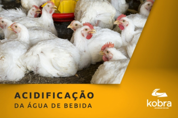 Acidificação na água de bebida