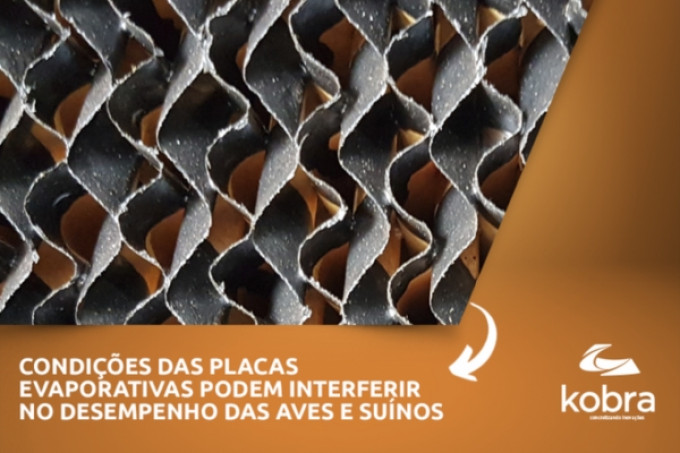 Como está a condição das placas evaporativas?