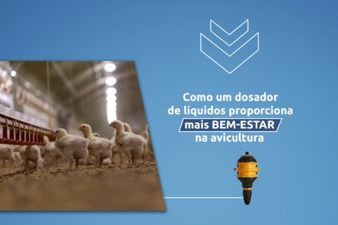 Como um dosador de líquidos proporciona mais bem-estar na avicultura