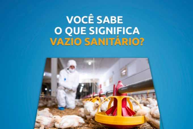 Vazio sanitário em frangos de corte